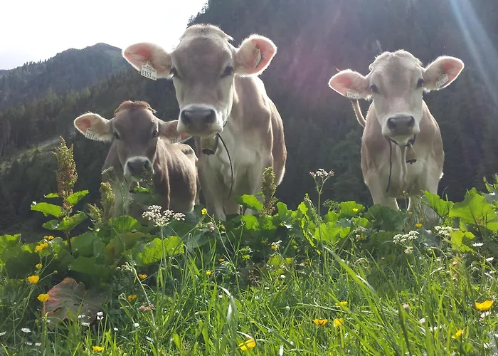 Haus Sonneneck Casa vacanze Fügen
