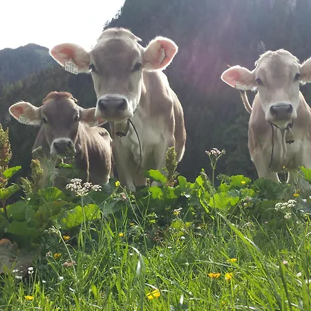 Haus Sonneneck בית נופש פוגן