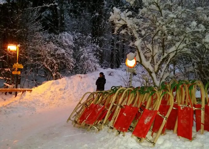 Haus Sonneneck פוגן